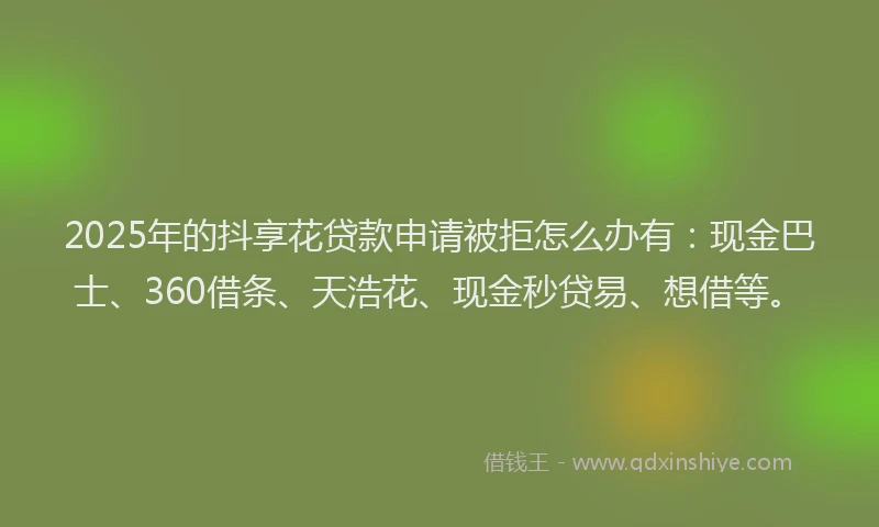 2025年的抖享花贷款申请被拒怎么办有：现金巴士、360借条、天浩花、现金秒贷易、想借等。