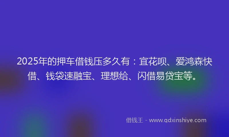 2025年的押车借钱压多久有：宜花呗、爱鸿森快借、钱袋速融宝、理想给、闪借易贷宝等。