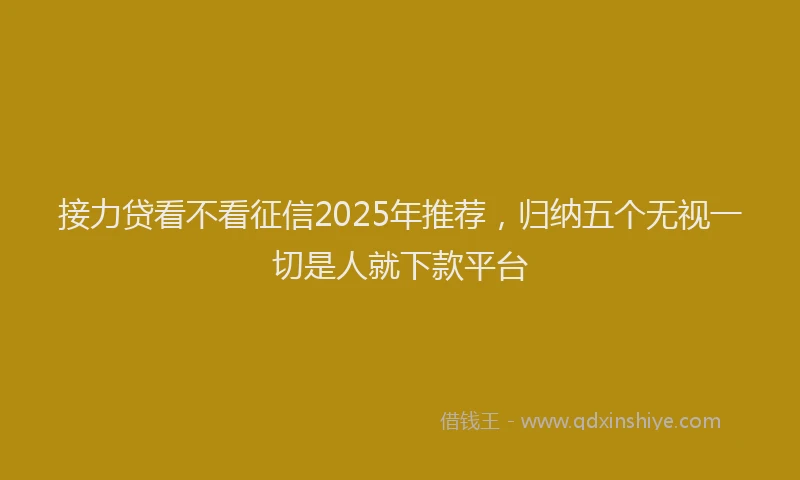 接力贷看不看征信2025年推荐，归纳五个无视一切是人就下款平台