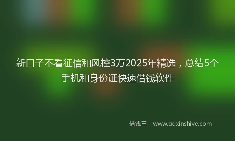 新口子不看征信和风控3万2025年精选，总结5个手机和身份证快速借钱软件