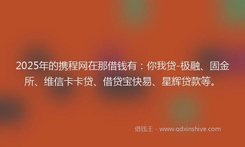 2025年的携程网在那借钱有：你我贷-极融、固金所、维信卡卡贷、借贷宝快易、星辉贷款等。