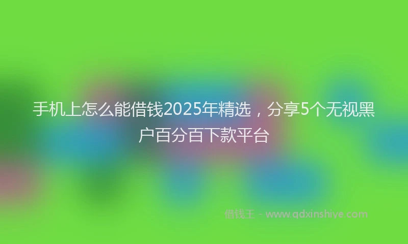 手机上怎么能借钱2025年精选，分享5个无视黑户百分百下款平台