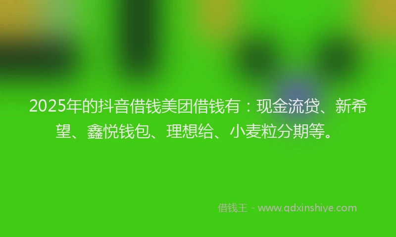 2025年的抖音借钱美团借钱有：现金流贷、新希望、鑫悦钱包、理想给、小麦粒分期等。