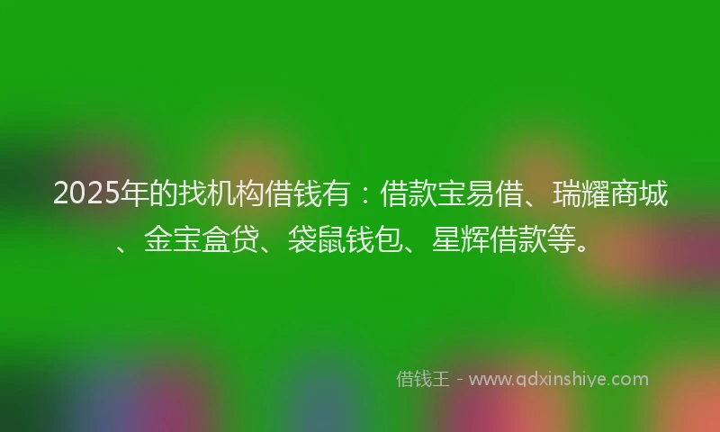 2025年的找机构借钱有：借款宝易借、瑞耀商城、金宝盒贷、袋鼠钱包、星辉借款等。