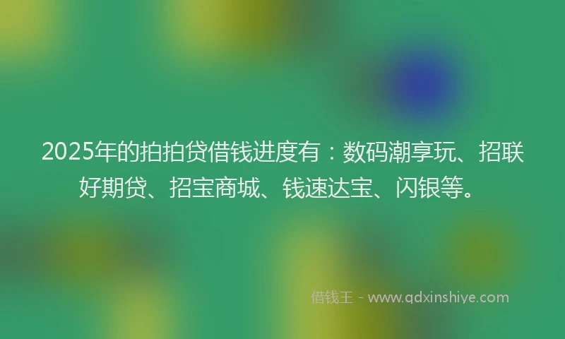 2025年的拍拍贷借钱进度有：数码潮享玩、招联好期贷、招宝商城、钱速达宝、闪银等。