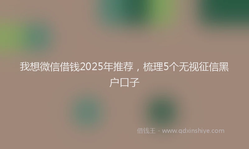 我想微信借钱2025年推荐，梳理5个无视征信黑户口子