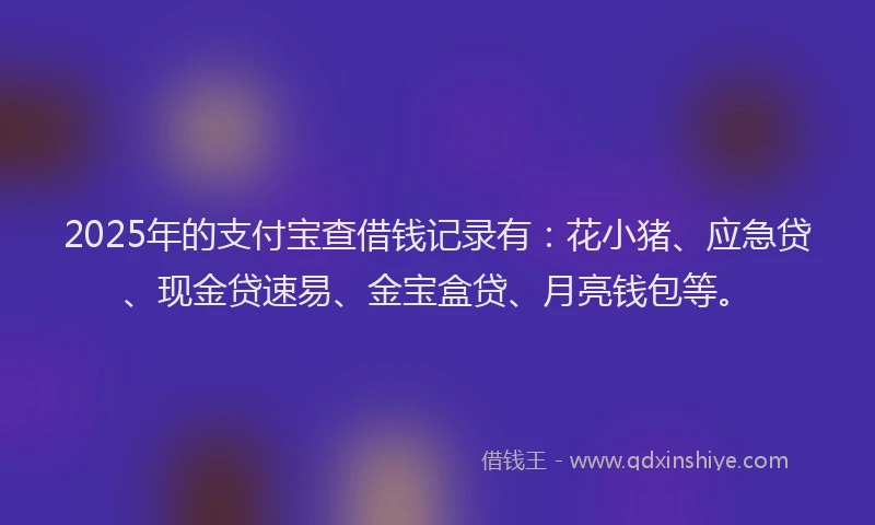 2025年的支付宝查借钱记录有：花小猪、应急贷、现金贷速易、金宝盒贷、月亮钱包等。