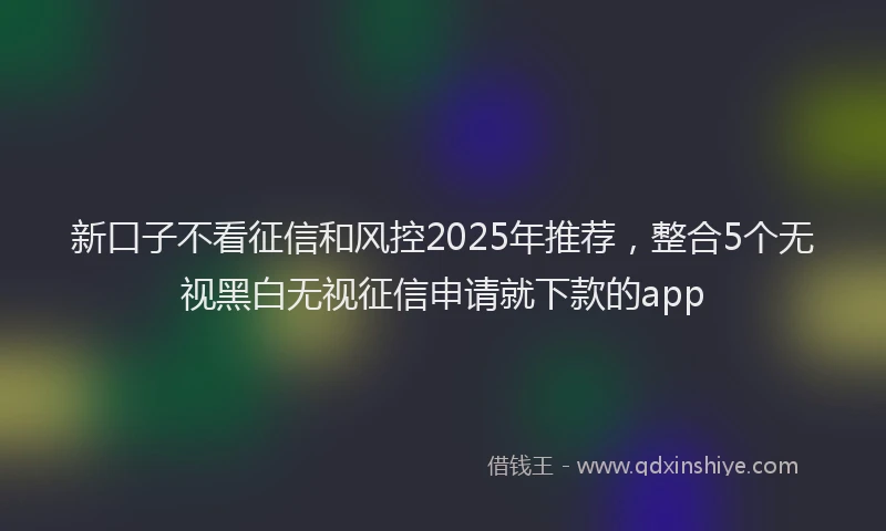 新口子不看征信和风控2025年推荐，整合5个无视黑白无视征信申请就下款的app