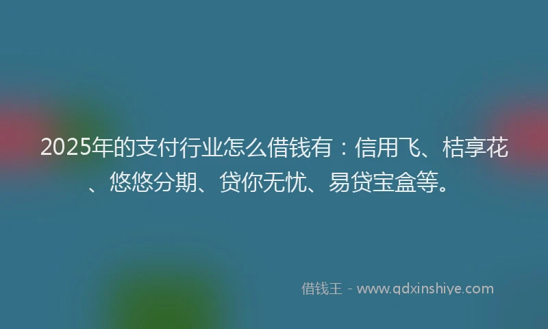 2025年的支付行业怎么借钱有：信用飞、桔享花、悠悠分期、贷你无忧、易贷宝盒等。