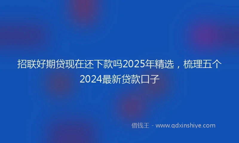 招联好期贷现在还下款吗2025年精选，梳理五个2024最新贷款口子