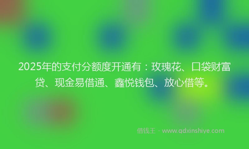 2025年的支付分额度开通有：玫瑰花、口袋财富贷、现金易借通、鑫悦钱包、放心借等。
