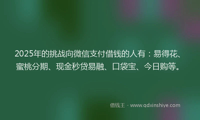 2025年的挑战向微信支付借钱的人有：易得花、蜜桃分期、现金秒贷易融、口袋宝、今日购等。