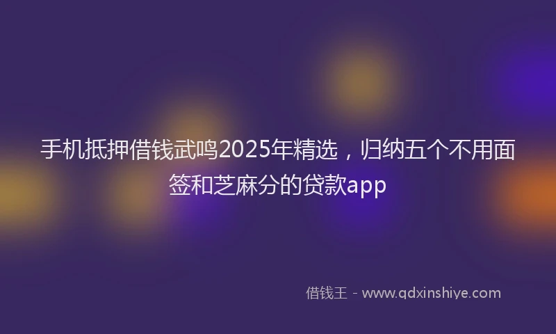手机抵押借钱武鸣2025年精选，归纳五个不用面签和芝麻分的贷款app