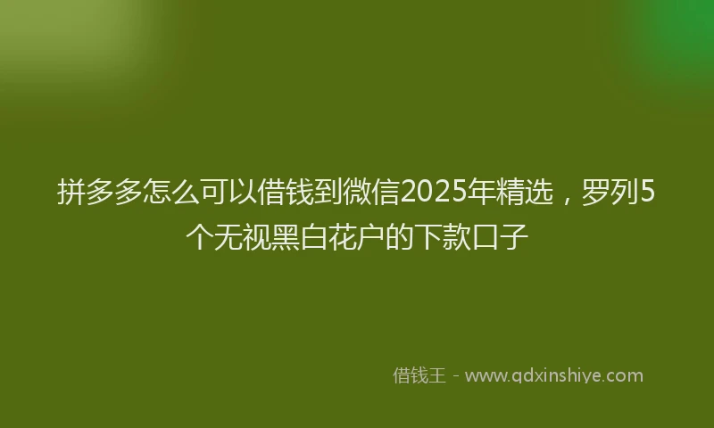 拼多多怎么可以借钱到微信2025年精选，罗列5个无视黑白花户的下款口子