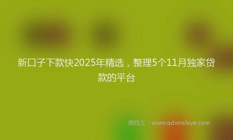 新口子下款快2025年精选，整理5个11月独家贷款的平台