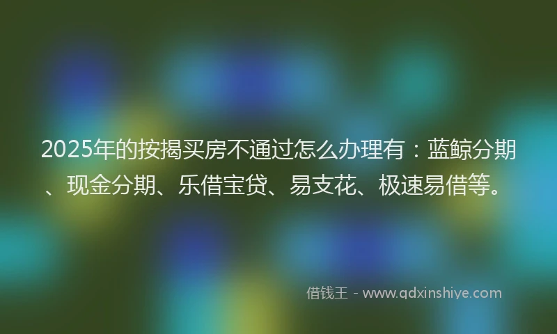 2025年的按揭买房不通过怎么办理有：蓝鲸分期、现金分期、乐借宝贷、易支花、极速易借等。