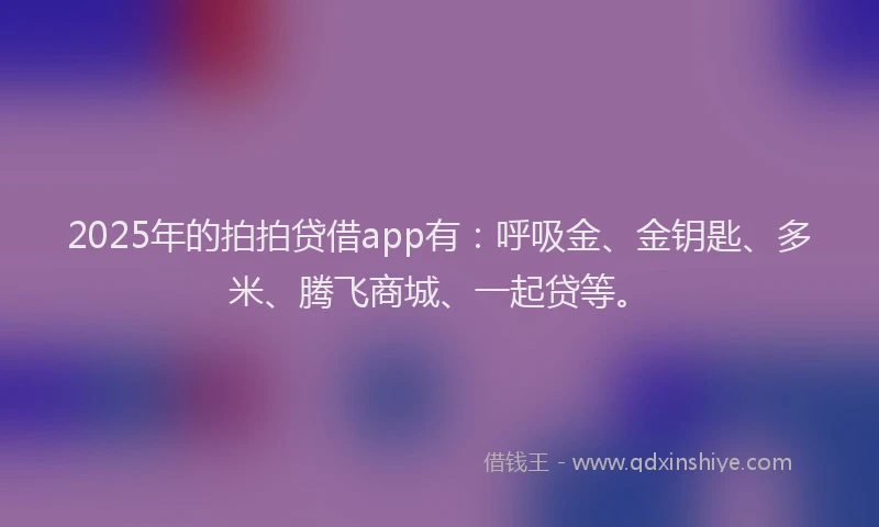 2025年的拍拍贷借app有：呼吸金、金钥匙、多米、腾飞商城、一起贷等。