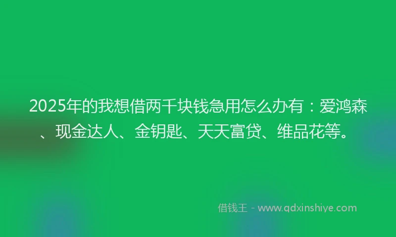 2025年的我想借两千块钱急用怎么办有：爱鸿森、现金达人、金钥匙、天天富贷、维品花等。