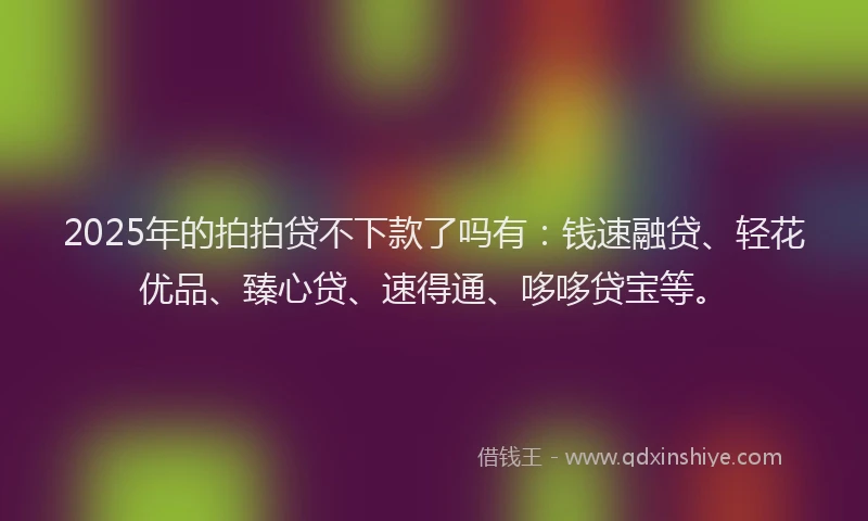 2025年的拍拍贷不下款了吗有：钱速融贷、轻花优品、臻心贷、速得通、哆哆贷宝等。