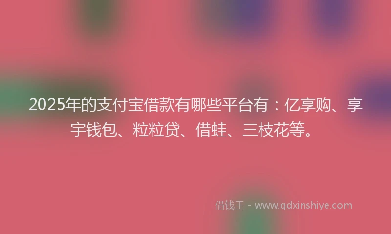 2025年的支付宝借款有哪些平台有：亿享购、享宇钱包、粒粒贷、借蛙、三枝花等。