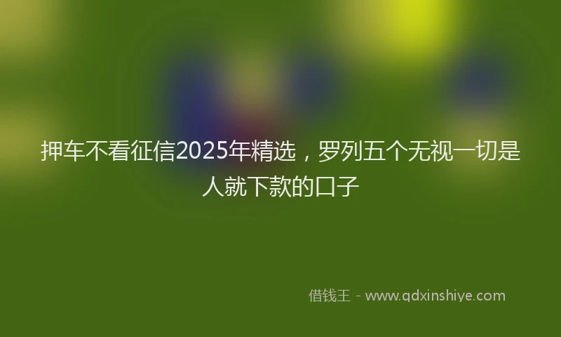 押车不看征信2025年精选，罗列五个无视一切是人就下款的口子