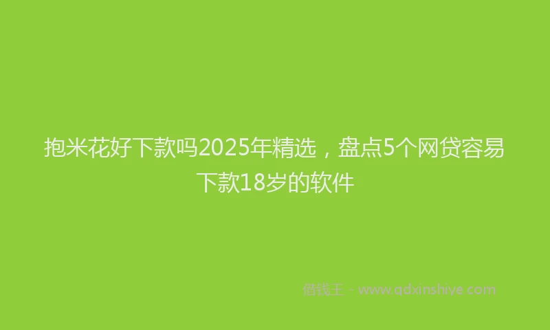 抱米花好下款吗2025年精选，盘点5个网贷容易下款18岁的软件