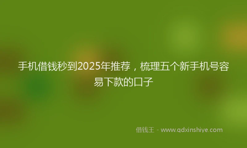 手机借钱秒到2025年推荐，梳理五个新手机号容易下款的口子