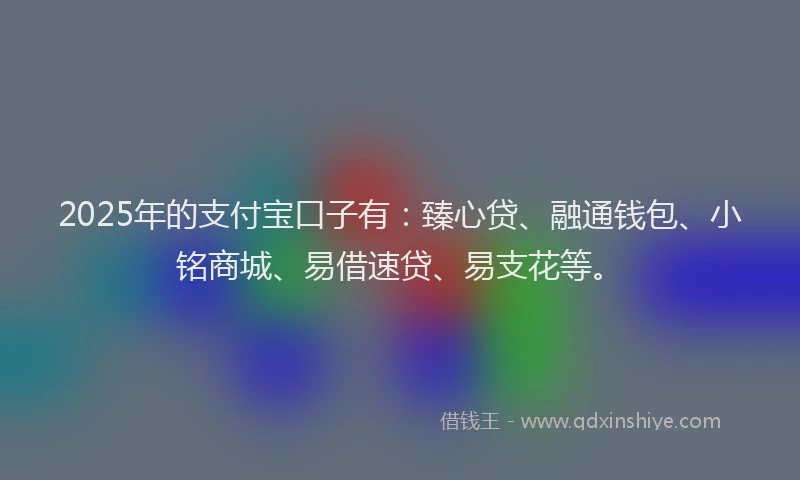 2025年的支付宝口子有：臻心贷、融通钱包、小铭商城、易借速贷、易支花等。
