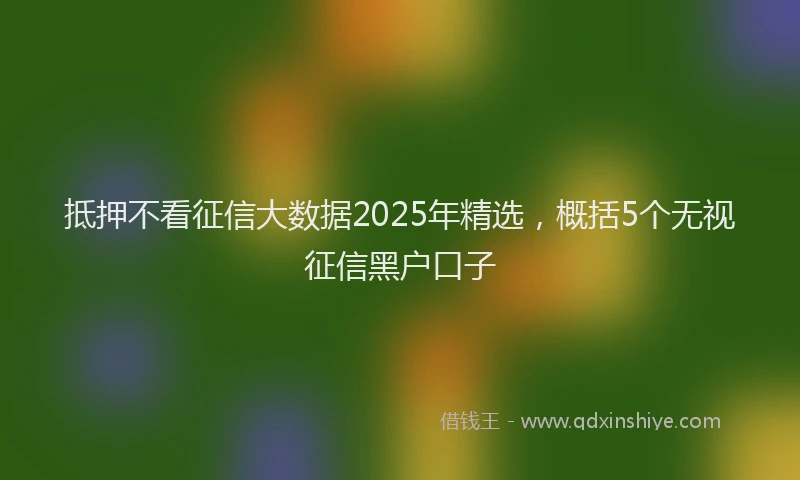 抵押不看征信大数据2025年精选，概括5个无视征信黑户口子