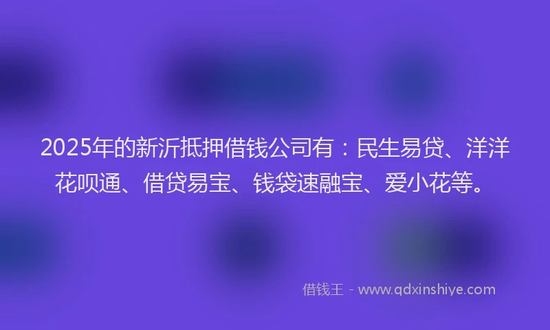 2025年的新沂抵押借钱公司有：民生易贷、洋洋花呗通、借贷易宝、钱袋速融宝、爱小花等。