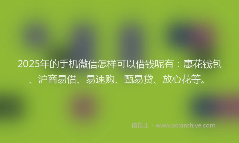 2025年的手机微信怎样可以借钱呢有：惠花钱包、沪商易借、易速购、甄易贷、放心花等。