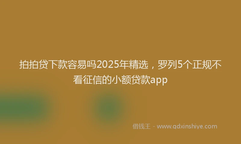拍拍贷下款容易吗2025年精选，罗列5个正规不看征信的小额贷款app