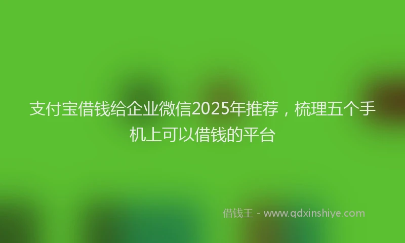 支付宝借钱给企业微信2025年推荐，梳理五个手机上可以借钱的平台