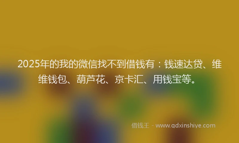 2025年的我的微信找不到借钱有：钱速达贷、维维钱包、葫芦花、京卡汇、用钱宝等。
