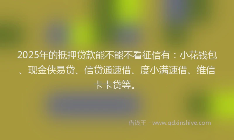 2025年的抵押贷款能不能不看征信有：小花钱包、现金侠易贷、信贷通速借、度小满速借、维信卡卡贷等。