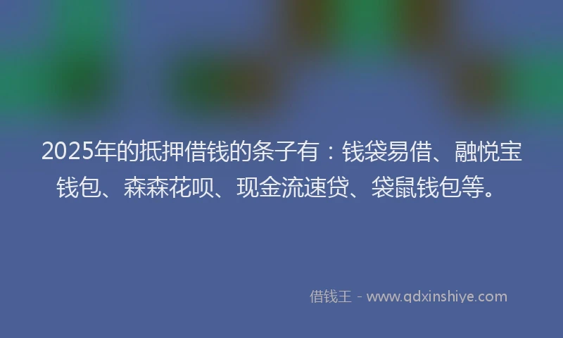 2025年的抵押借钱的条子有：钱袋易借、融悦宝钱包、森森花呗、现金流速贷、袋鼠钱包等。