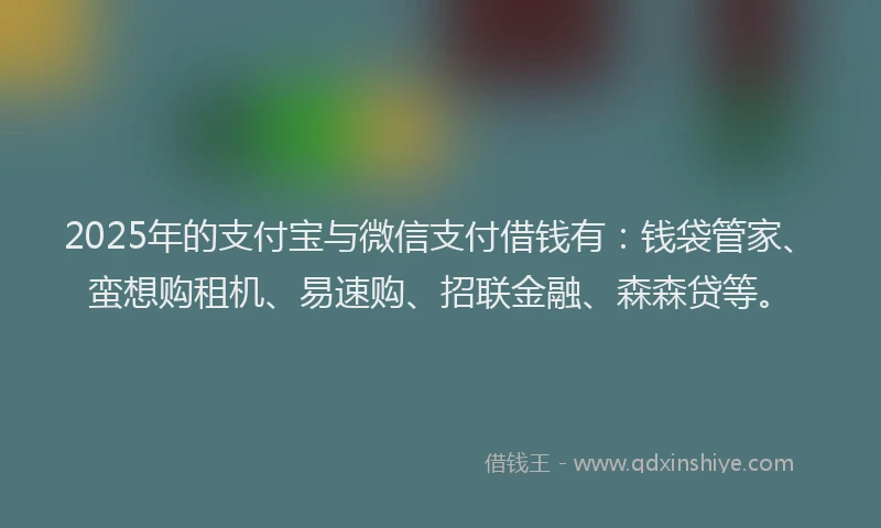 2025年的支付宝与微信支付借钱有：钱袋管家、蛮想购租机、易速购、招联金融、森森贷等。