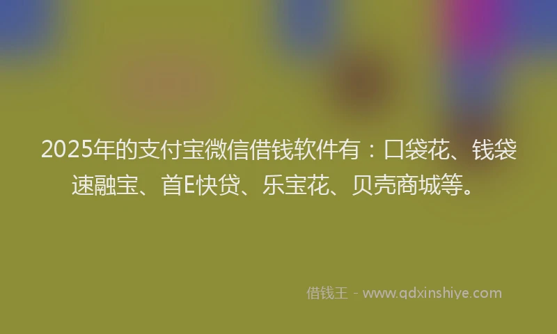 2025年的支付宝微信借钱软件有：口袋花、钱袋速融宝、首E快贷、乐宝花、贝壳商城等。