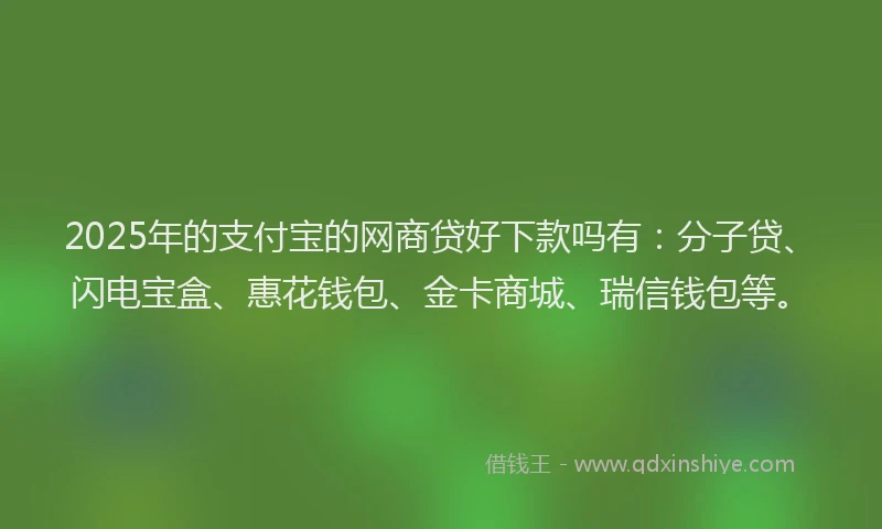 2025年的支付宝的网商贷好下款吗有：分子贷、闪电宝盒、惠花钱包、金卡商城、瑞信钱包等。