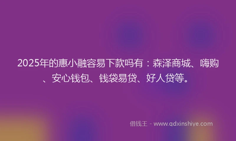 2025年的惠小融容易下款吗有：森泽商城、嗨购、安心钱包、钱袋易贷、好人贷等。