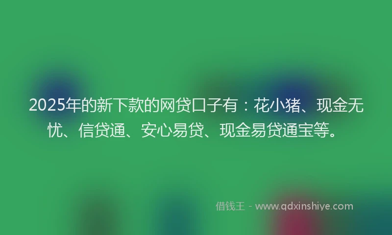 2025年的新下款的网贷口子有：花小猪、现金无忧、信贷通、安心易贷、现金易贷通宝等。