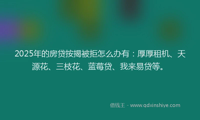 2025年的房贷按揭被拒怎么办有：厚厚租机、天源花、三枝花、蓝莓贷、我来易贷等。