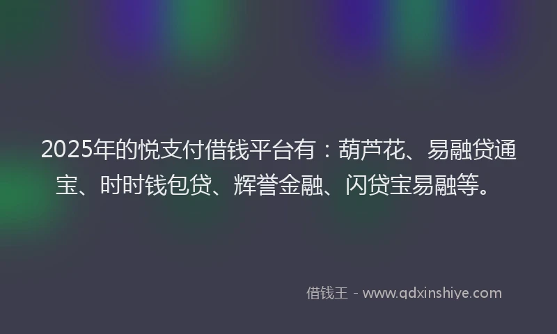 2025年的悦支付借钱平台有：葫芦花、易融贷通宝、时时钱包贷、辉誉金融、闪贷宝易融等。