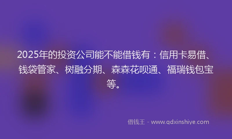 2025年的投资公司能不能借钱有：信用卡易借、钱袋管家、树融分期、森森花呗通、福瑞钱包宝等。