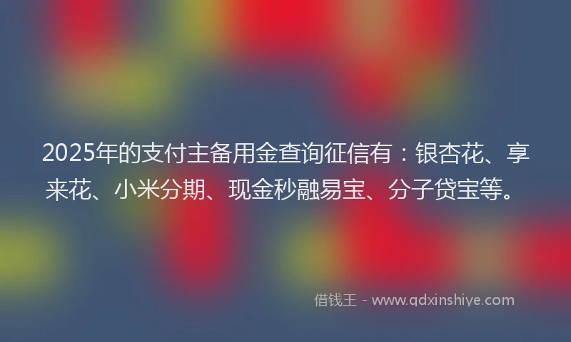2025年的支付主备用金查询征信有：银杏花、享来花、小米分期、现金秒融易宝、分子贷宝等。