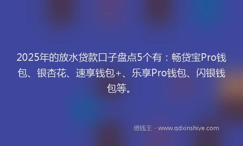 2025年的放水贷款口子盘点5个有：畅贷宝Pro钱包、银杏花、速享钱包+、乐享Pro钱包、闪银钱包等。