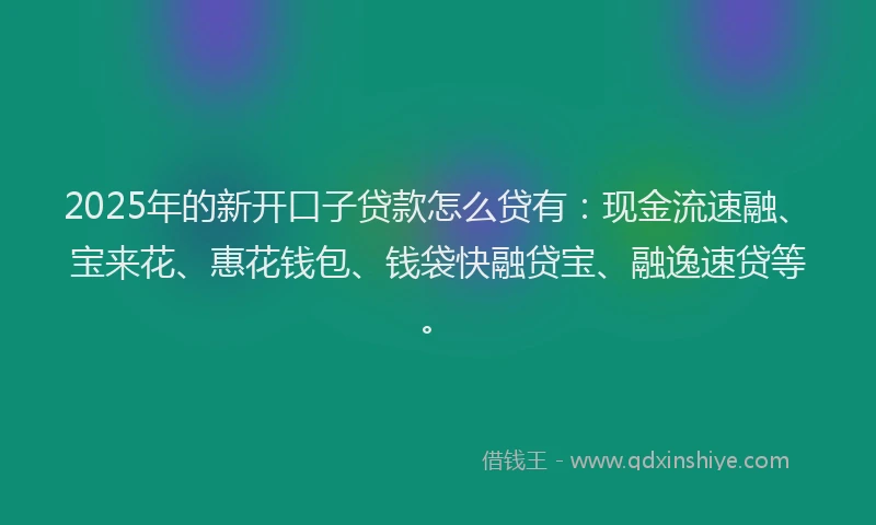 2025年的新开口子贷款怎么贷有：现金流速融、宝来花、惠花钱包、钱袋快融贷宝、融逸速贷等。