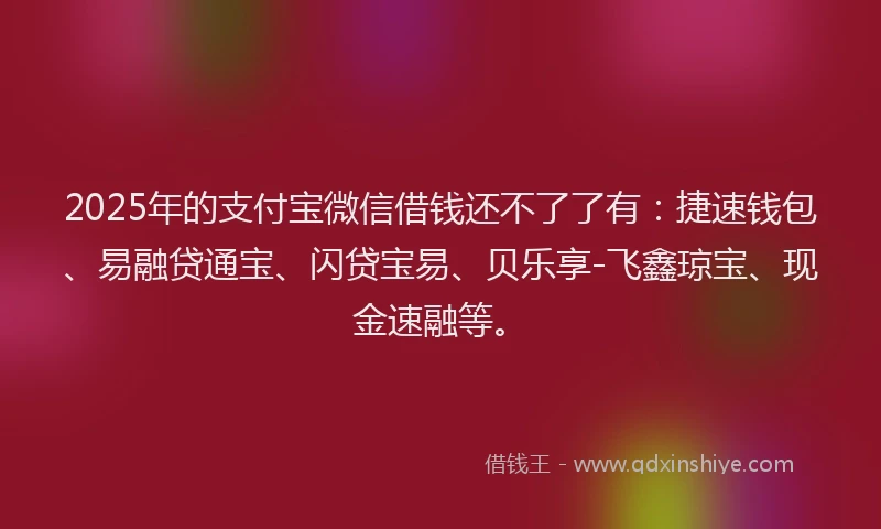 2025年的支付宝微信借钱还不了了有：捷速钱包、易融贷通宝、闪贷宝易、贝乐享-飞鑫琼宝、现金速融等。