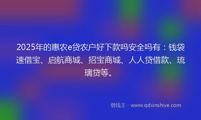 2025年的惠农e贷农户好下款吗安全吗有：钱袋速借宝、启航商城、招宝商城、人人贷借款、琉璃贷等。