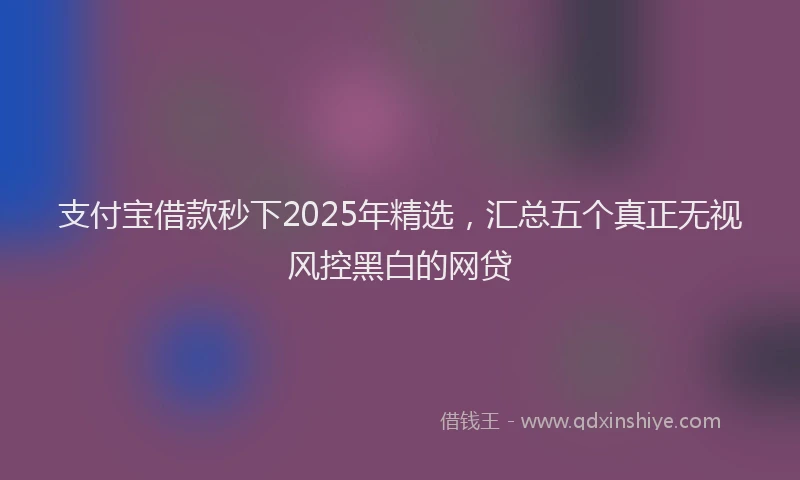 支付宝借款秒下2025年精选，汇总五个真正无视风控黑白的网贷